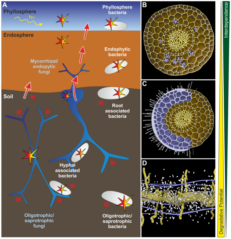 Figure to Curr Opin Biotech (27, 168175) Scivit english version