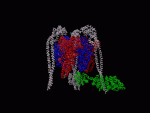 Crystal structure of a V-Type ATPase