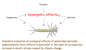 Will pesticides become more deadly in a warming world? - Scivit News #3