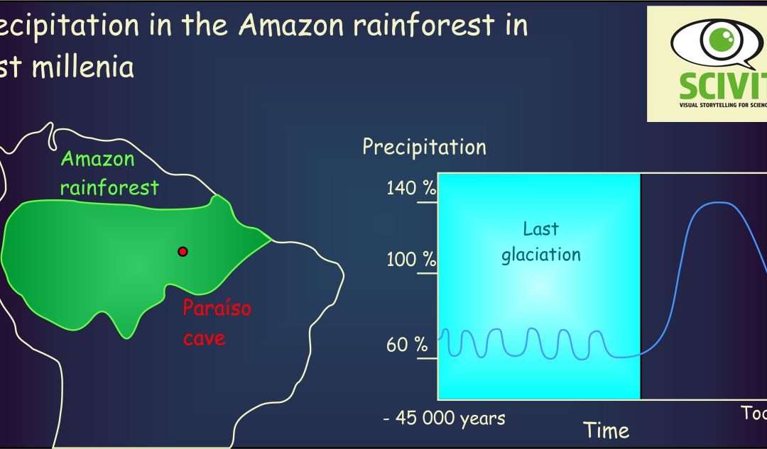 Precipitation in the Amazon rainforest in past millenia