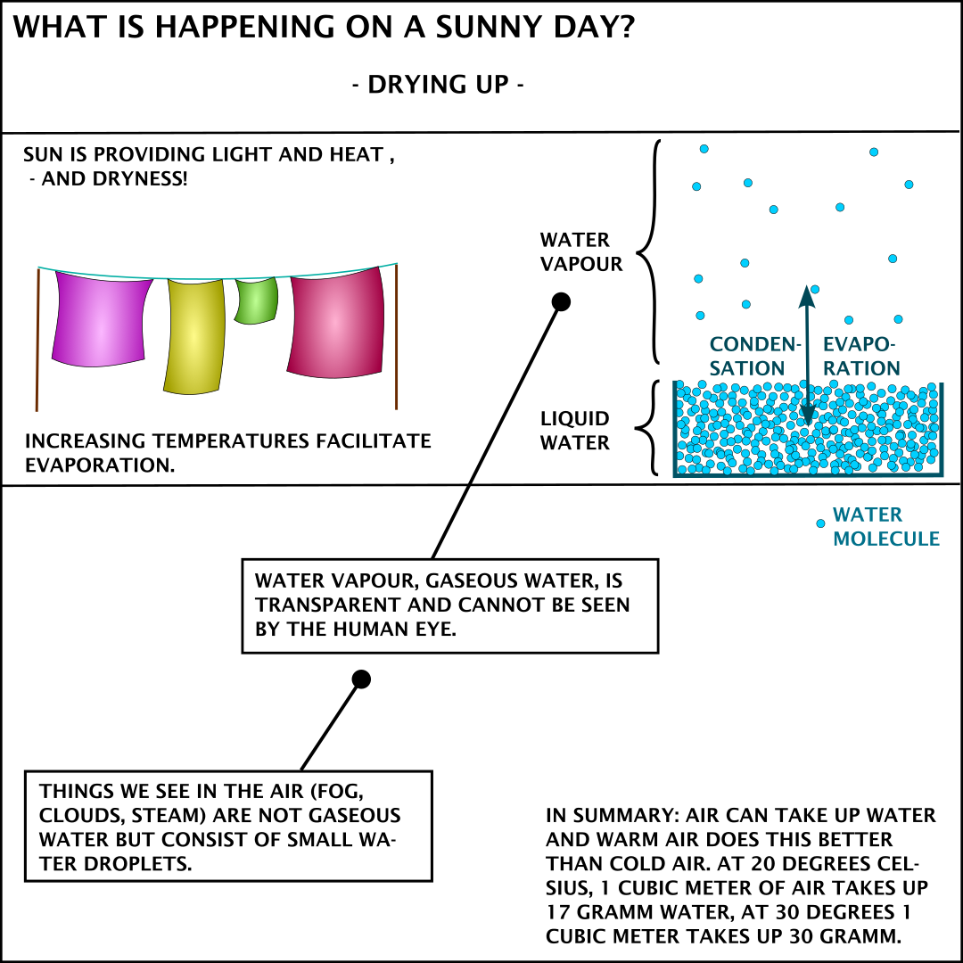 Evaporation and transpiration