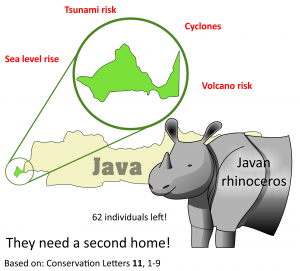 Infografik Java-Nashorn