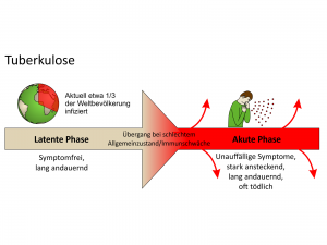 Infografik Tuberkulose