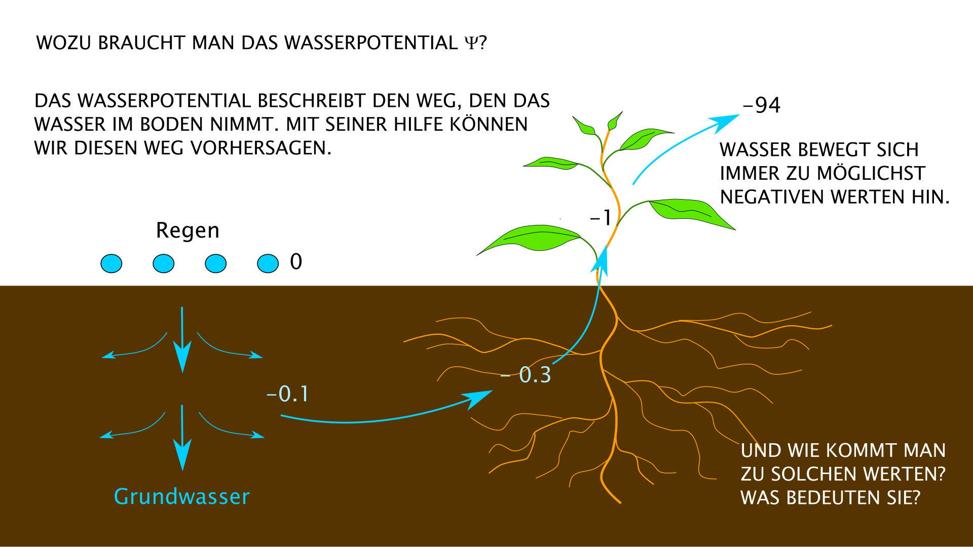 Wozu braucht man das Wasserpotential?