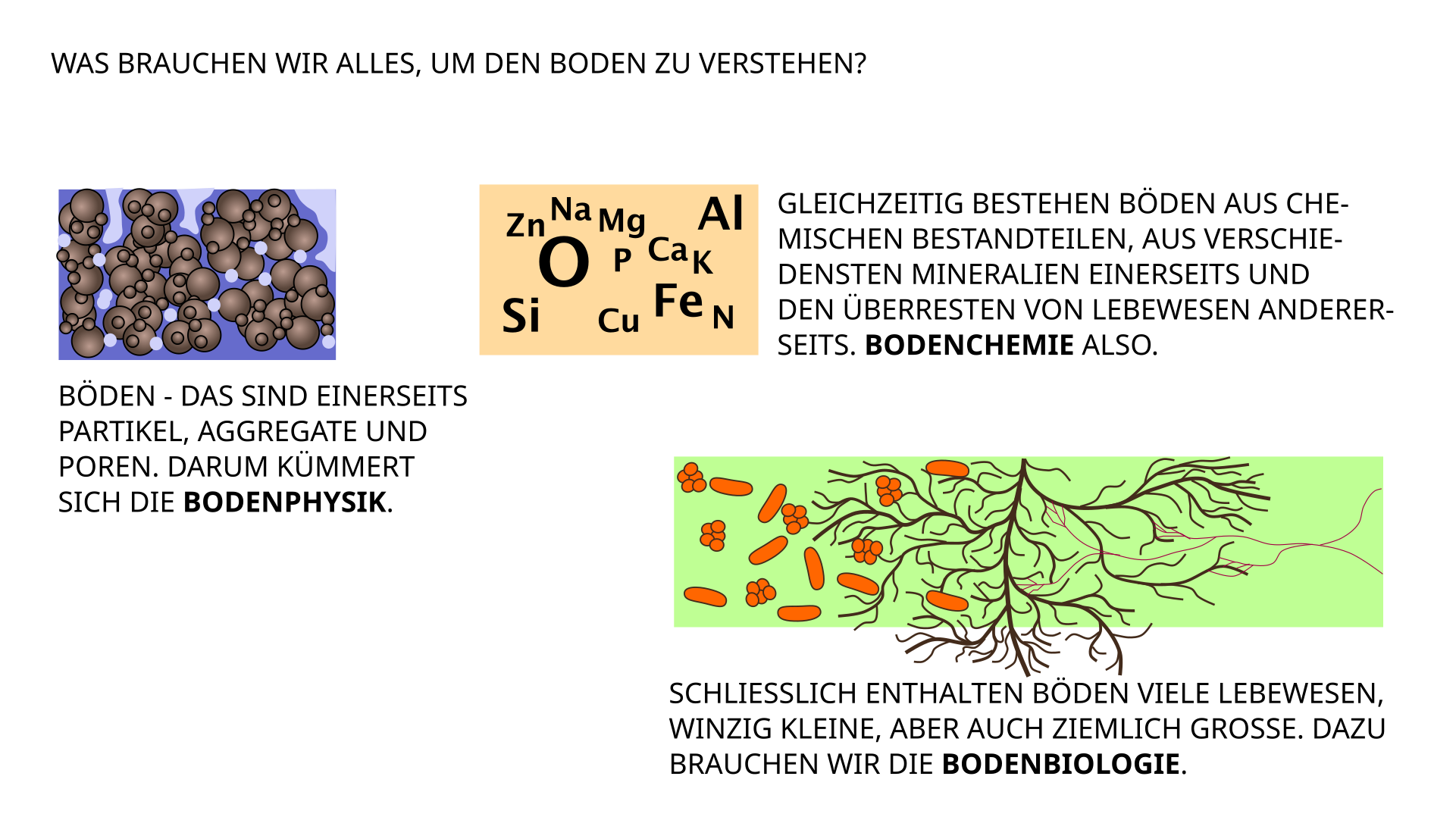 Bodenkunde: Bodenphysik, Bodenchemie, Bodenbiologie