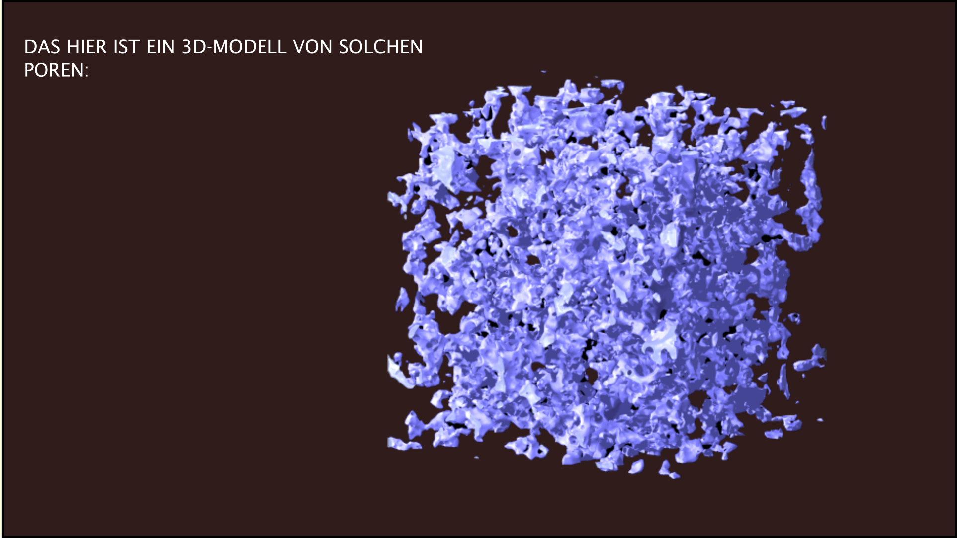 Bodenporen, 3D-Modell