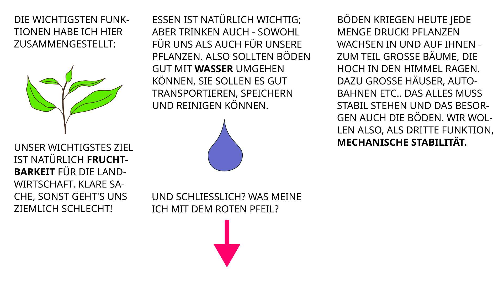 Bodenfunktionen