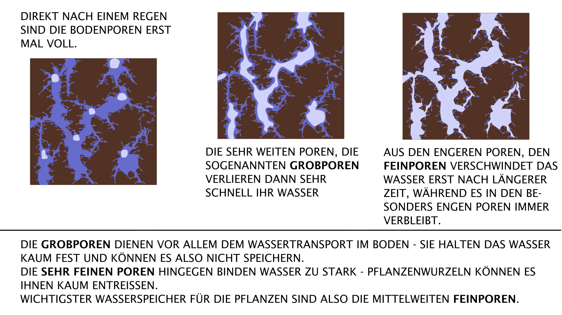 Füllungszustand von Bodenporen