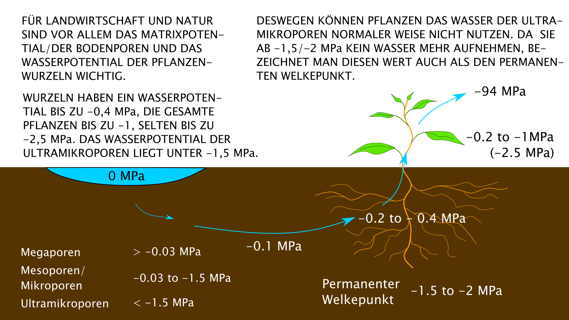 Wasserpotentialwerte im Boden