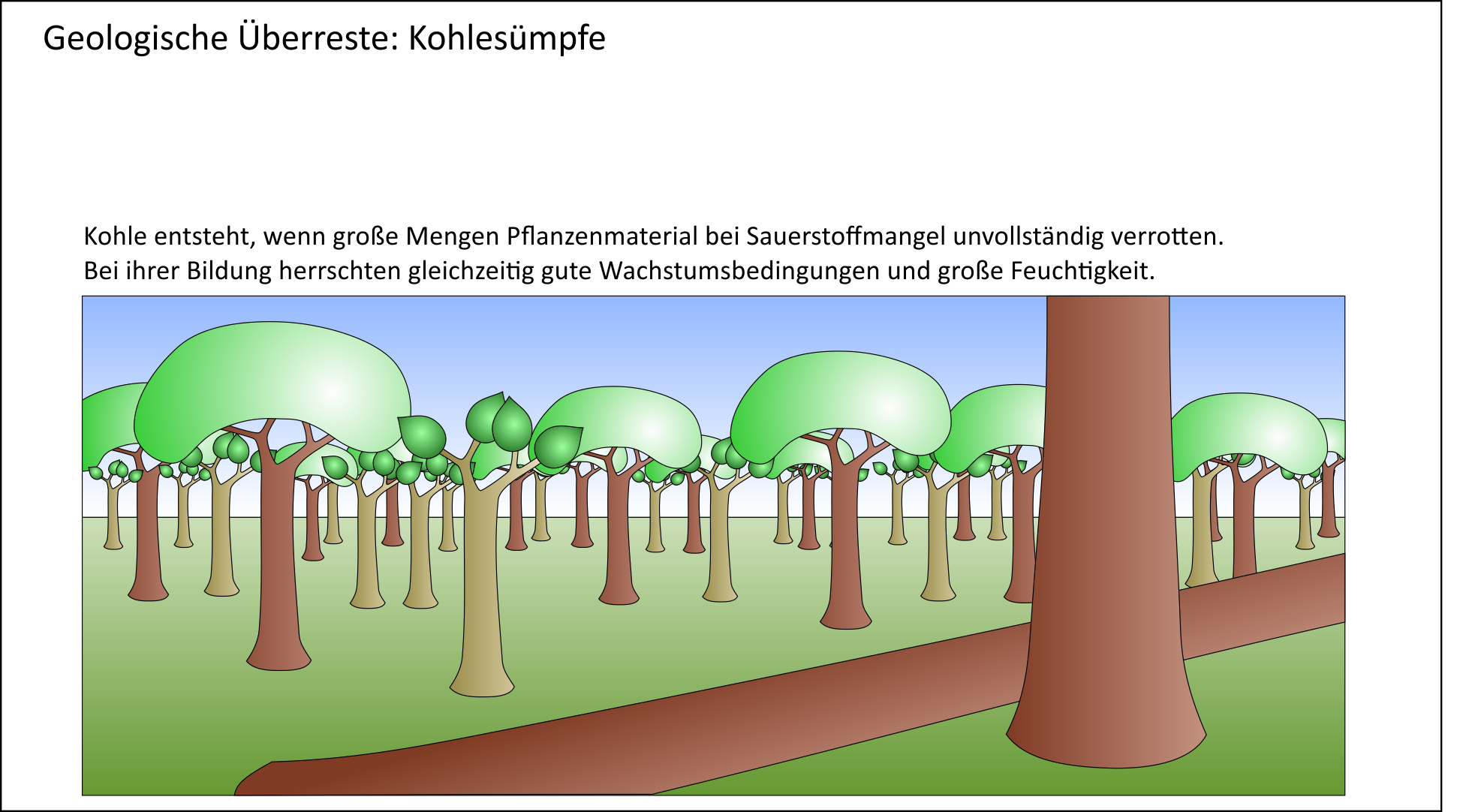 Kohlevorkommen als Indikator für warm-feuchtes Klima