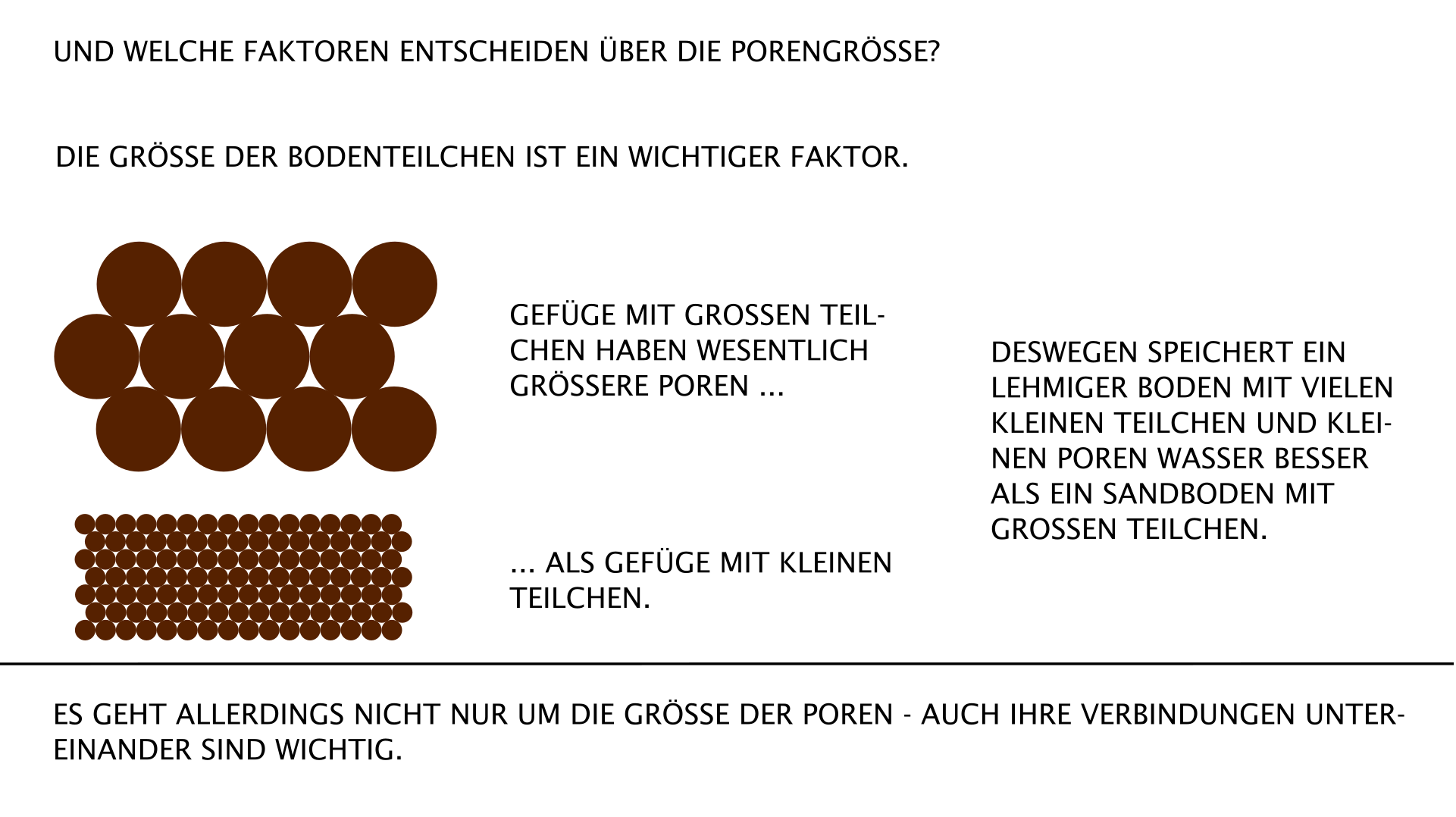 Bodenporen und Bodenteilchen