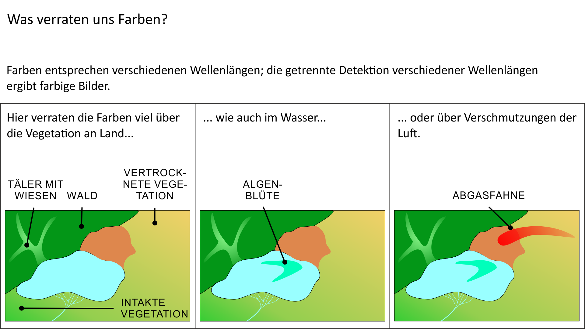 Was verraten und Farben?