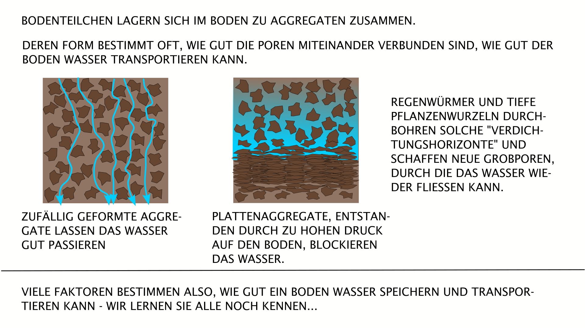 Bodenporen und Bodenaggregate