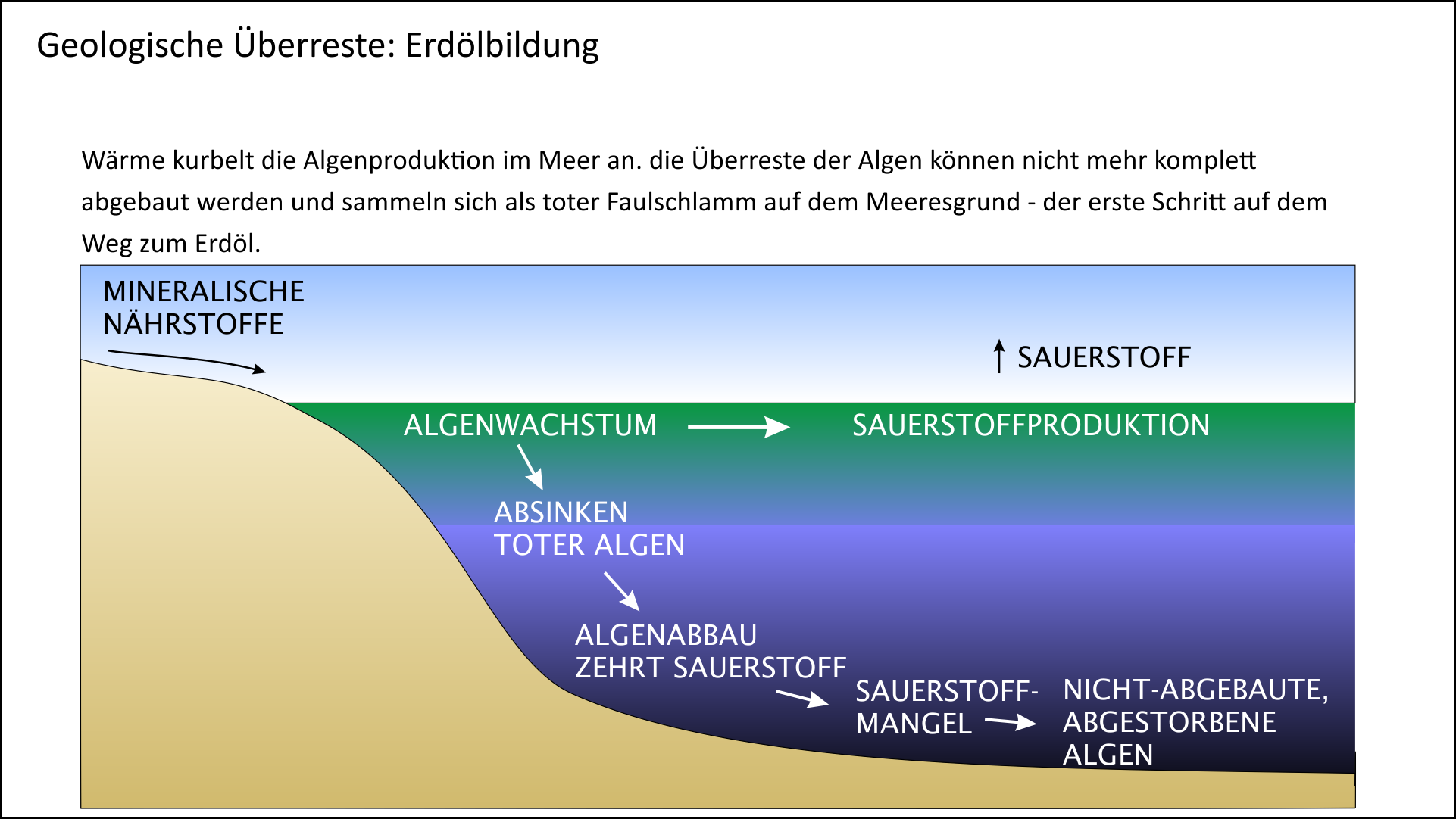 Erdölvorkommen als Indikator für sehr warmes Klima