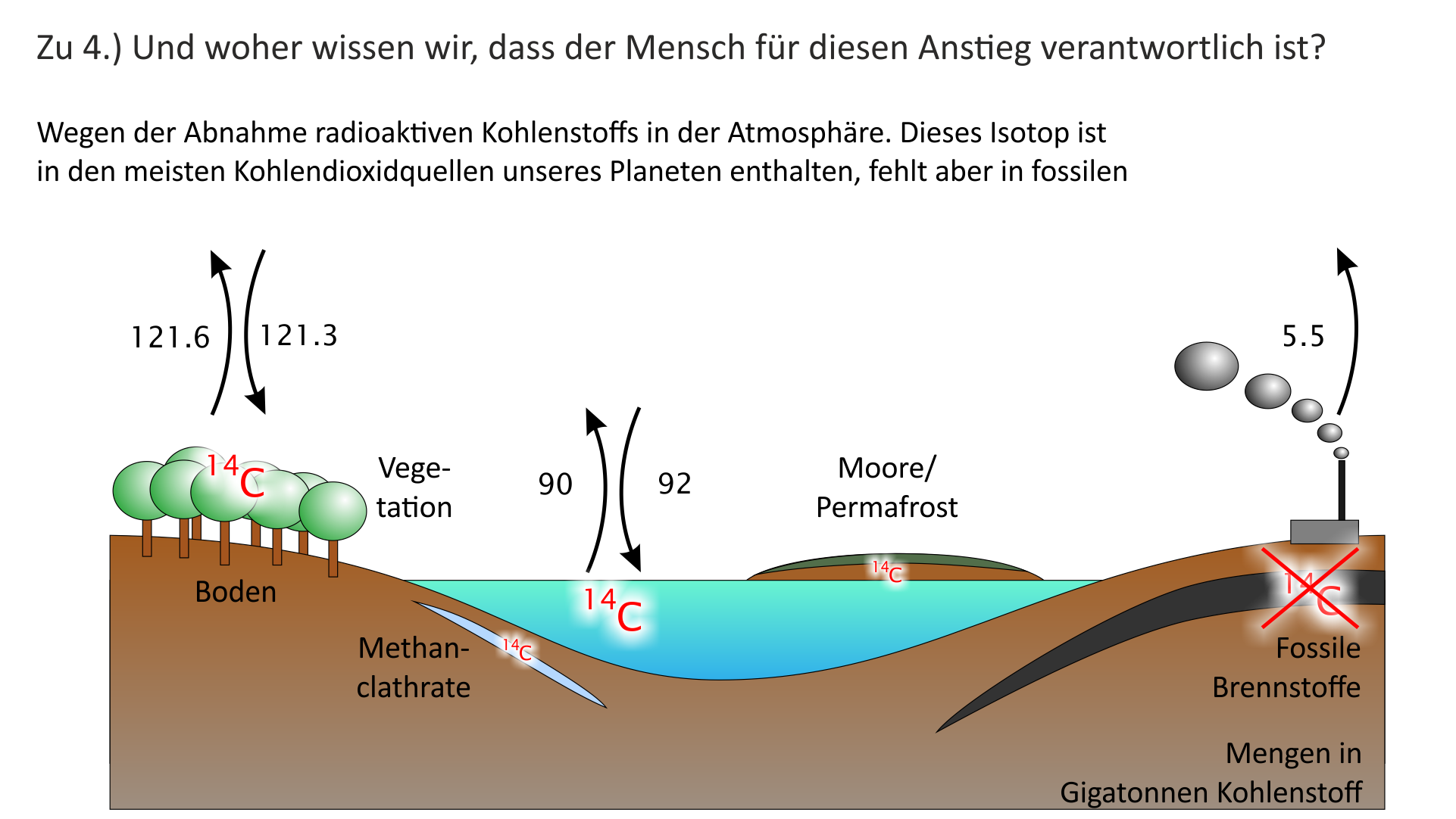 Das zusätzliche CO2 der Atmosphäre entstammt fossilen Brennstoffen. 