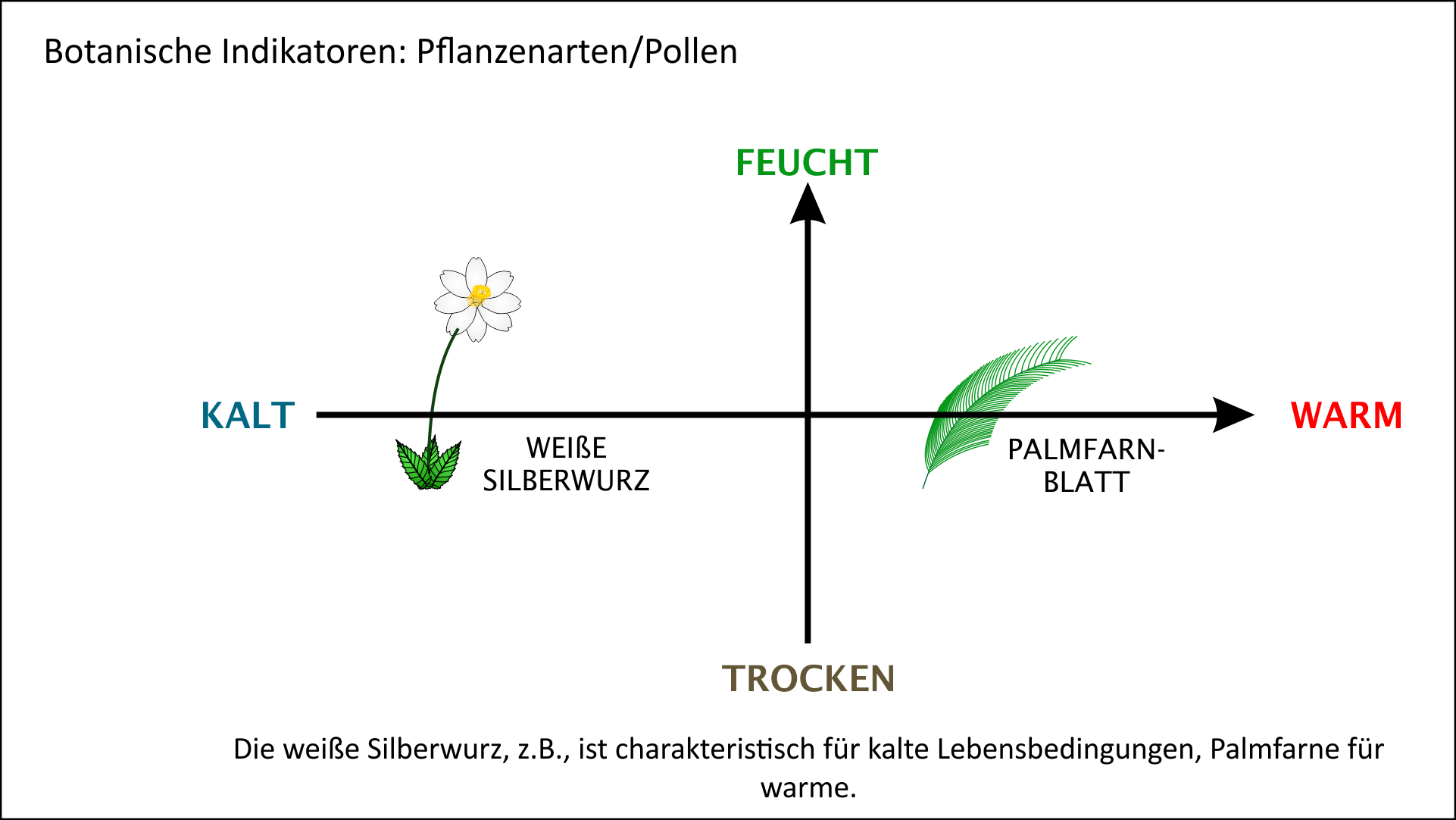 Pflanzenarten als biologische Indikatoren für warmes/kaltes Klima