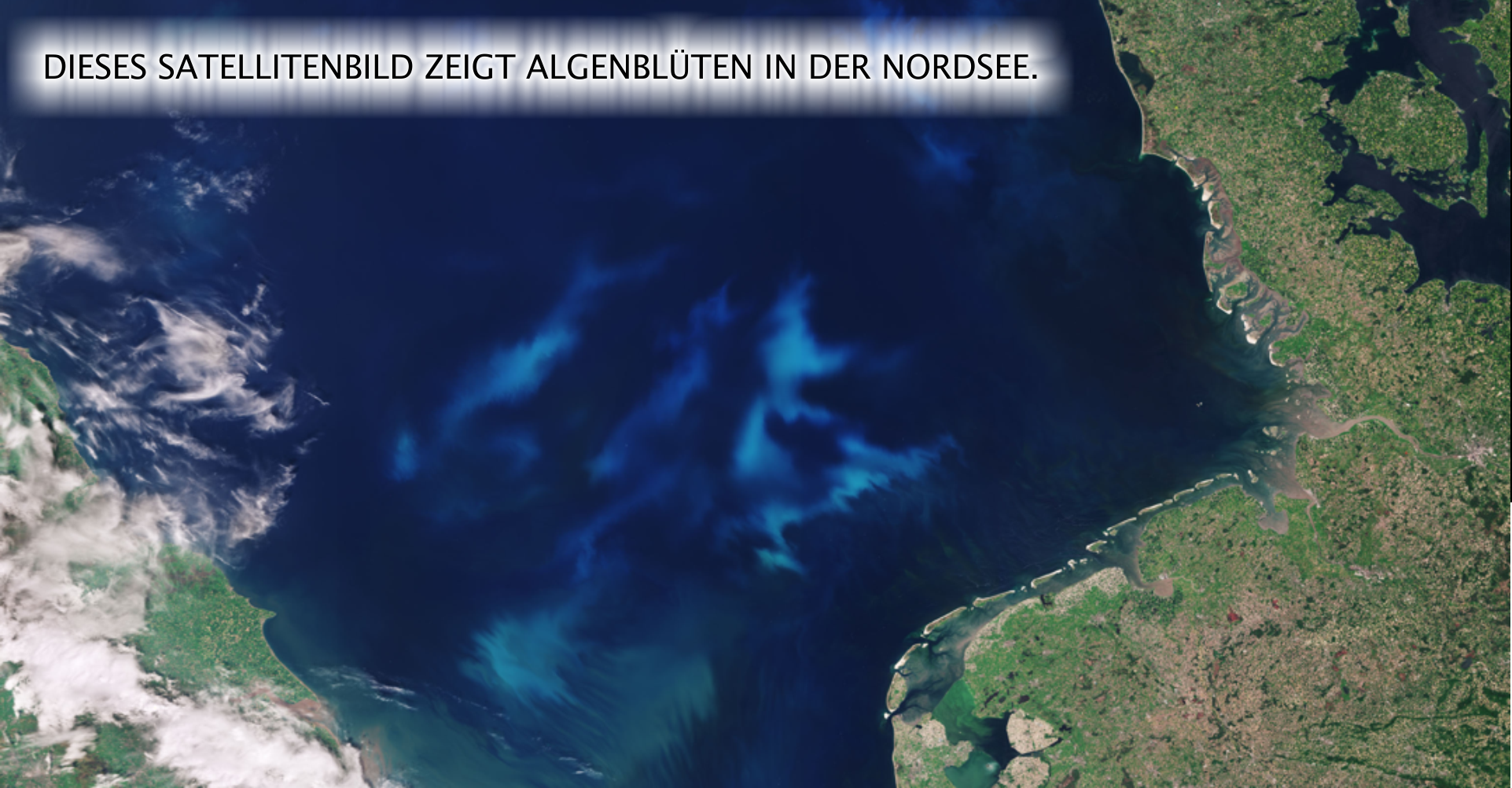 Satellitenbild: Algenblüte in der Nordsee