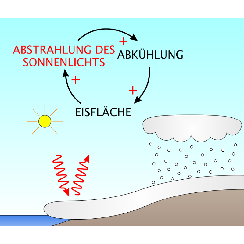 Titelbild Mechanismen